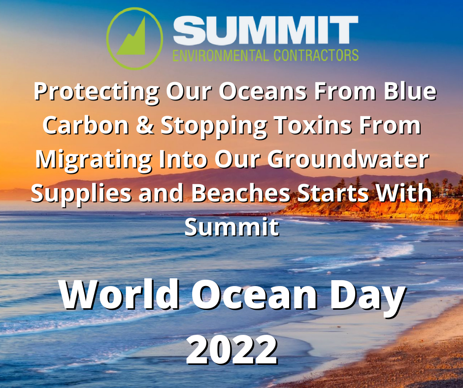 World Ocean Day 2022 Summit Environmental Contractors